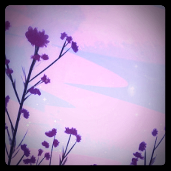 Meet your Posher, Phoebe and jen - Picture 1 of 1